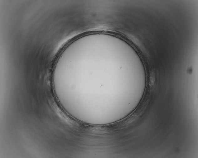 X0000116461356200912231352