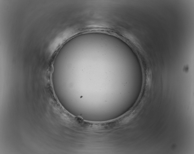 X0000116461357200912231352