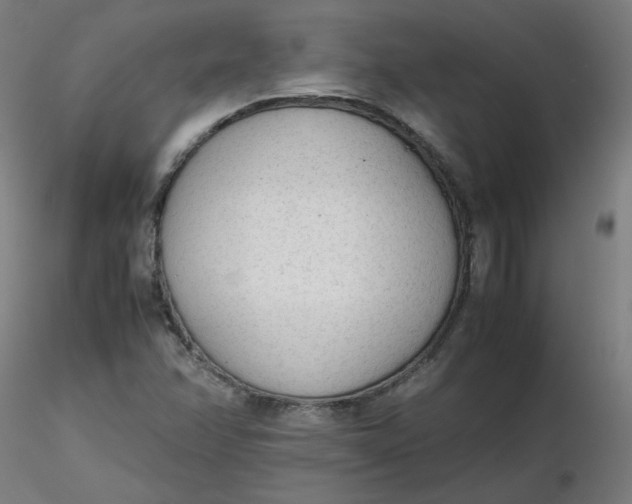 X0000116461358200912231352