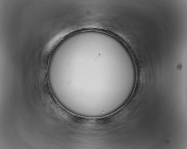 X0000116461359200912231352