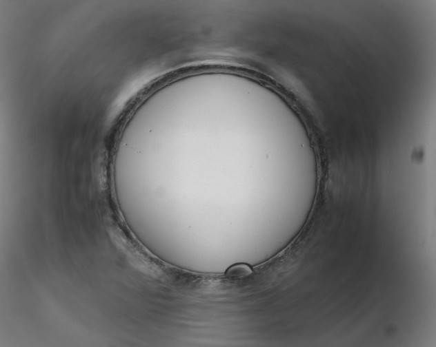 X0000116461360200912231352