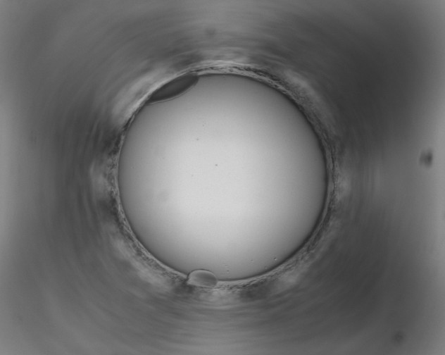 X0000116461361200912231352