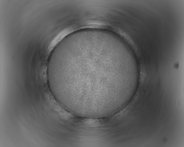 X0000116461362200912231352
