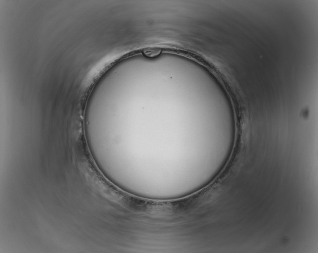 X0000116461363200912231352