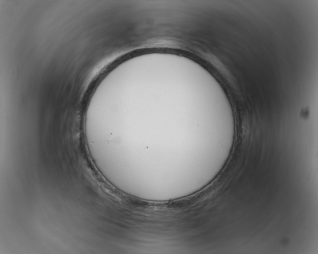 X0000116461364200912231352