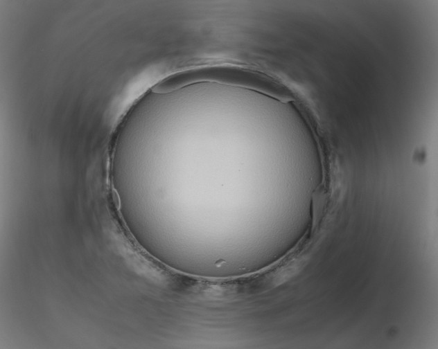 X0000116461365200912231352