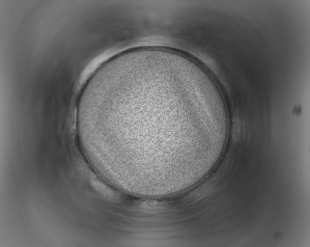 X0000116461366200912231352