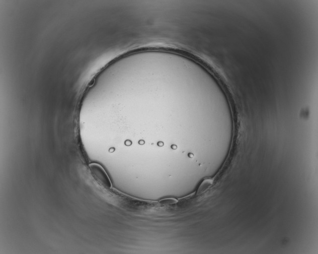 X0000116461367200912231352