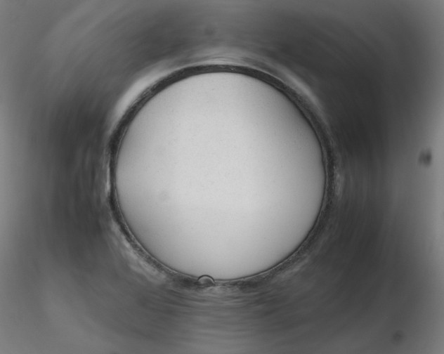 X0000116461368200912231352