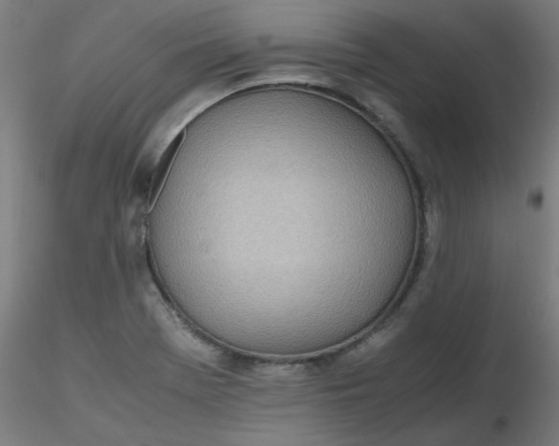 X0000116461369200912231352