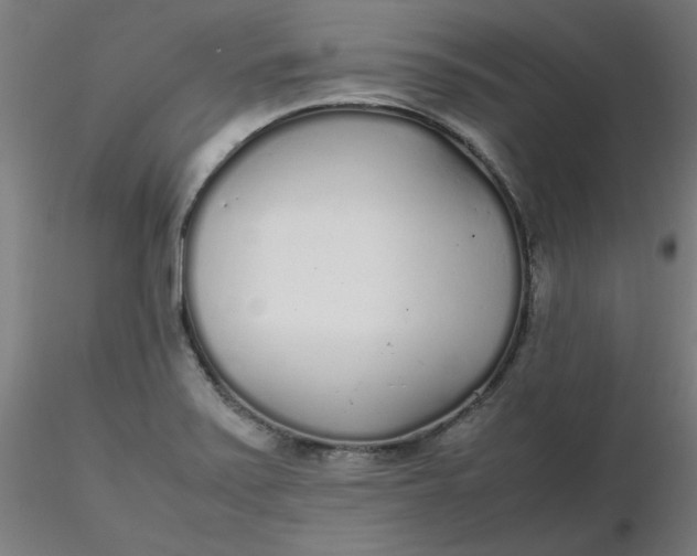 X0000116461371200912231352