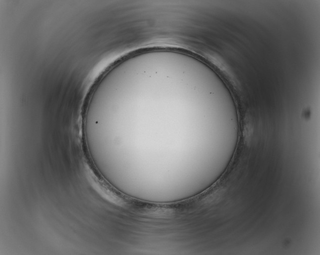 X0000116461372200912231352