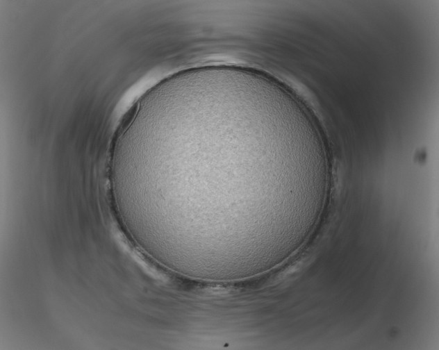 X0000116461373200912231352