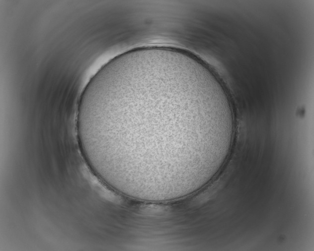X0000116461374200912231352