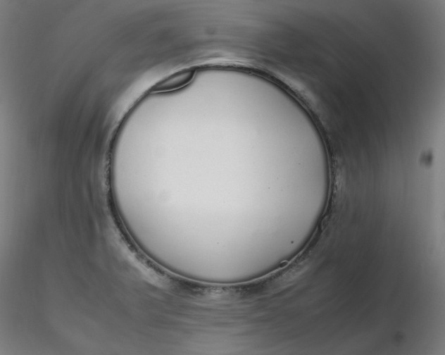 X0000116461375200912231352