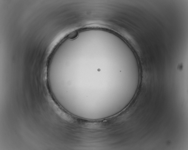 X0000116461376200912231352