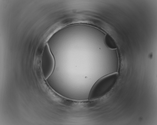 X0000116461377200912231352