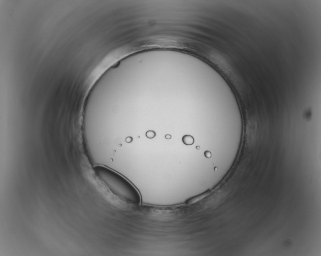 X0000116461378200912231352