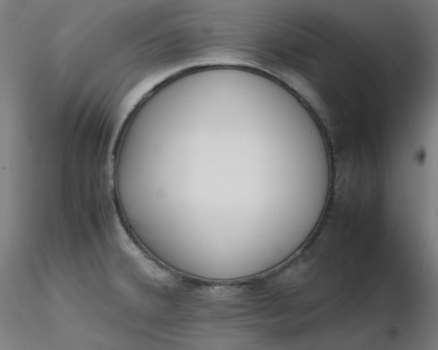 X0000116461380200912231352