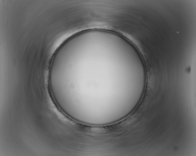 X0000116461383200912231352