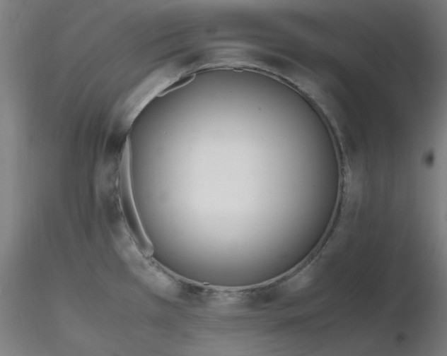 X0000116461385200912231352