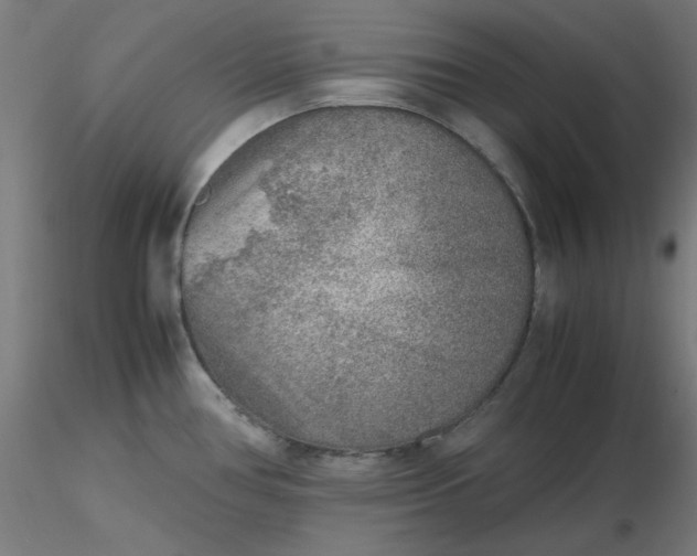 X0000116461386200912231352