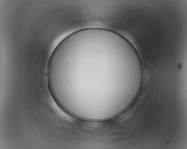 X0000116461387200912231352