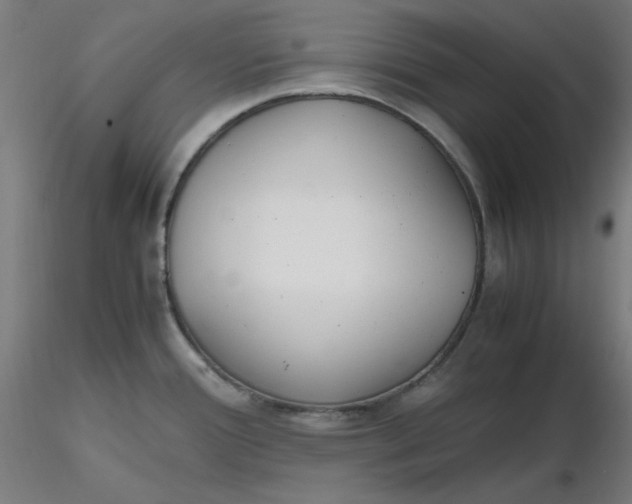 X0000116461388200912231352