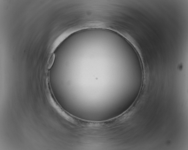 X0000116461389200912231352