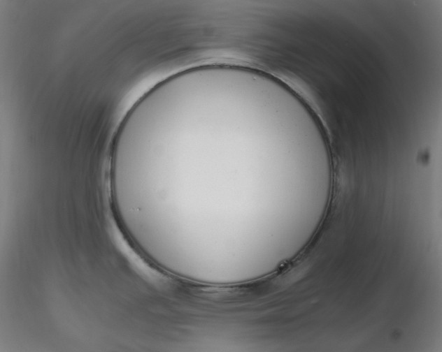 X0000116461391200912231352