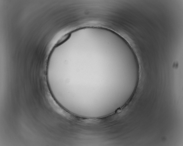 X0000116461392200912231352
