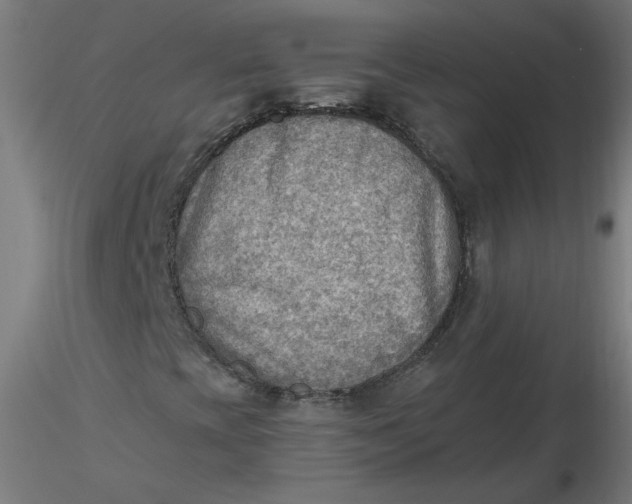 X0000116461393200912231351