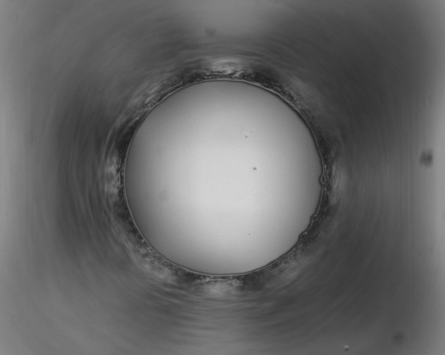 X0000116461394200912231351