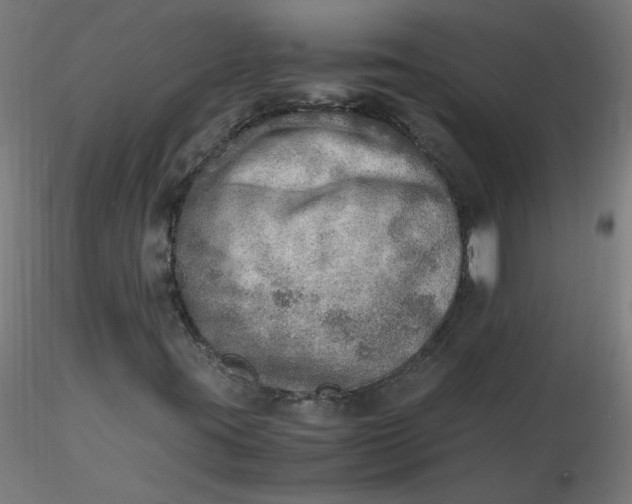 X0000116461395200912231351