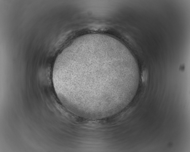 X0000116461396200912231351