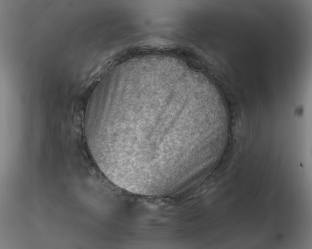 X0000116461397200912231351