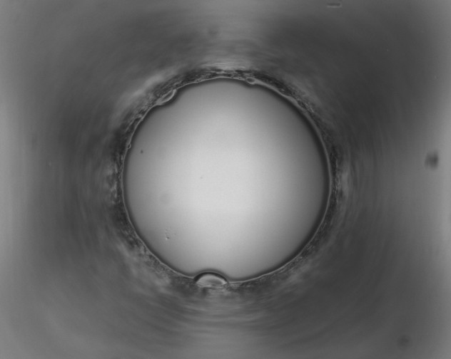 X0000116461398200912231351