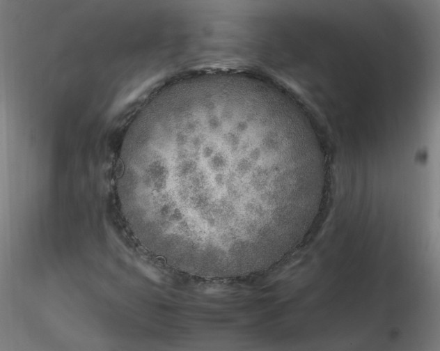 X0000116461399200912231351