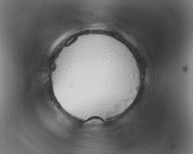X0000116461400200912231351