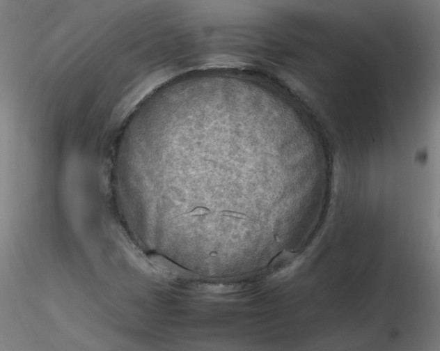 X0000116461401200912231351
