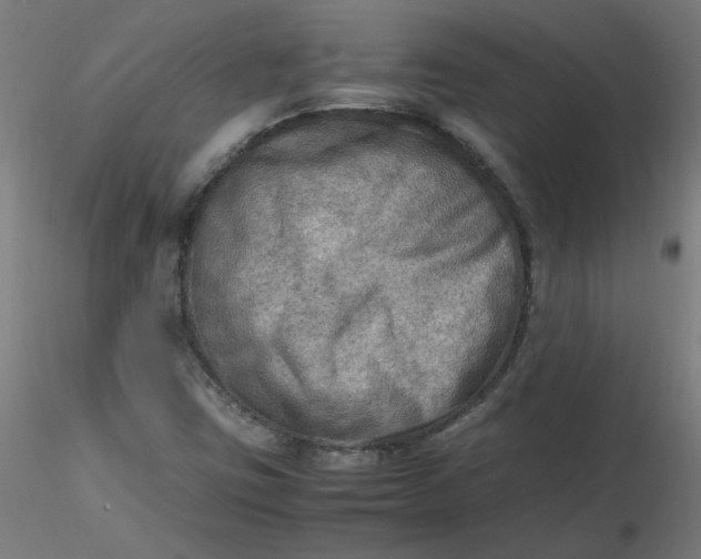 X0000116461403200912231351