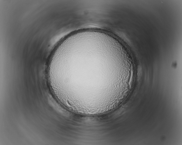 X0000116461404200912231351