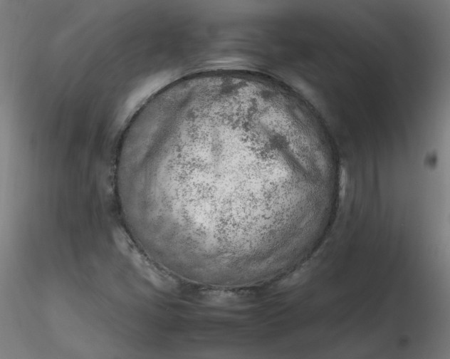 X0000116461405200912231351