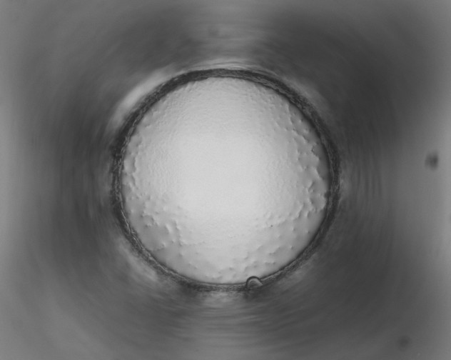 X0000116461406200912231351