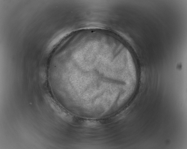 X0000116461407200912231351
