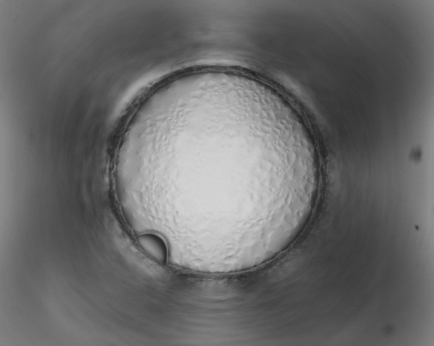 X0000116461408200912231351