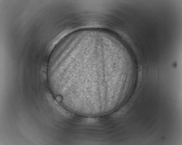 X0000116461409200912231351
