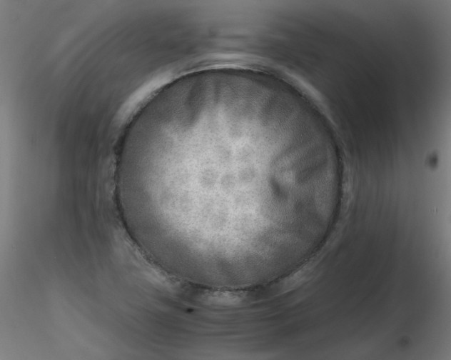 X0000116461411200912231351