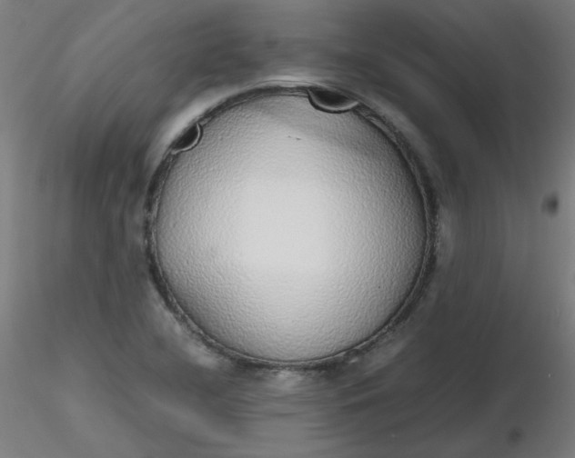 X0000116461412200912231351