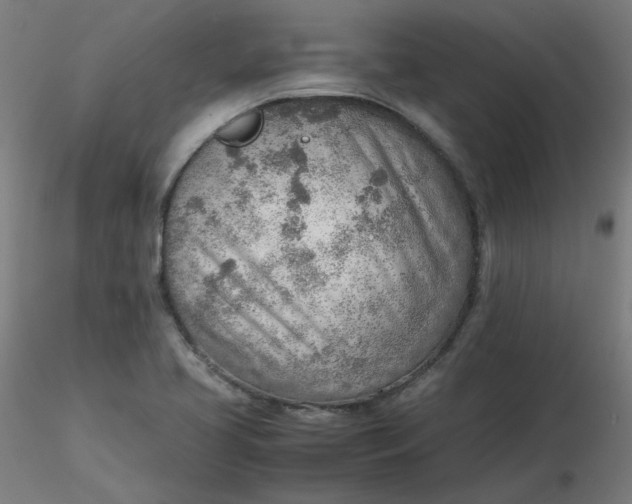 X0000116461413200912231351